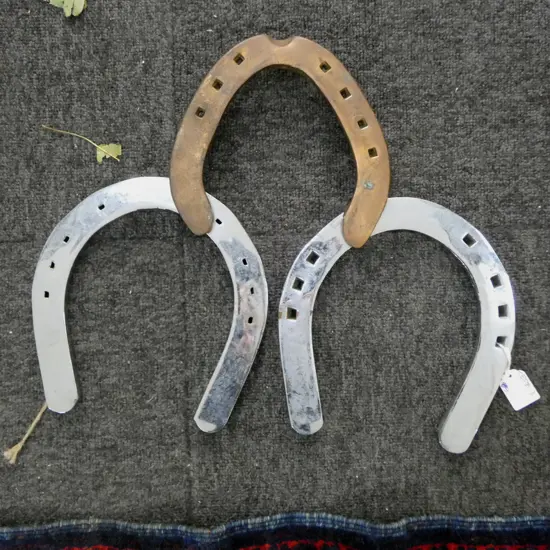 3 ORNAMENTAL HORSE SHOES 205mm
