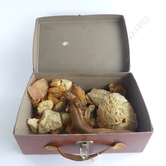 ASST. KAURI GUM IN BOX