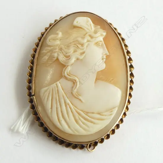 c.1900 LARGE 9ct GOLD FRAMED CAMEO rope twist border H.50mm 10.8gms