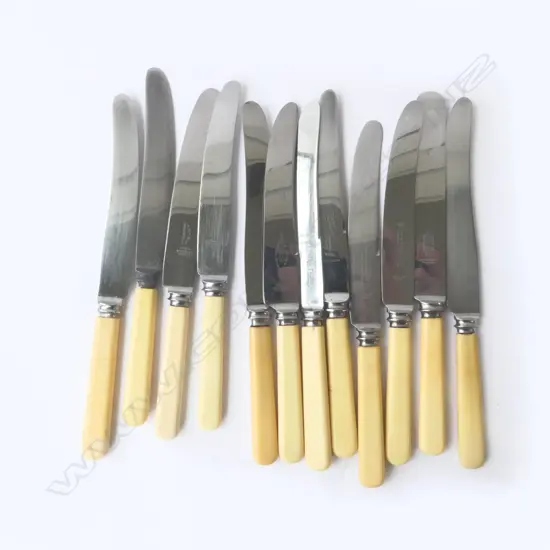 12 VINTAGE ‘BONE’ HANDLE DINNER KNIVES SHEFFIELD, L.230MM