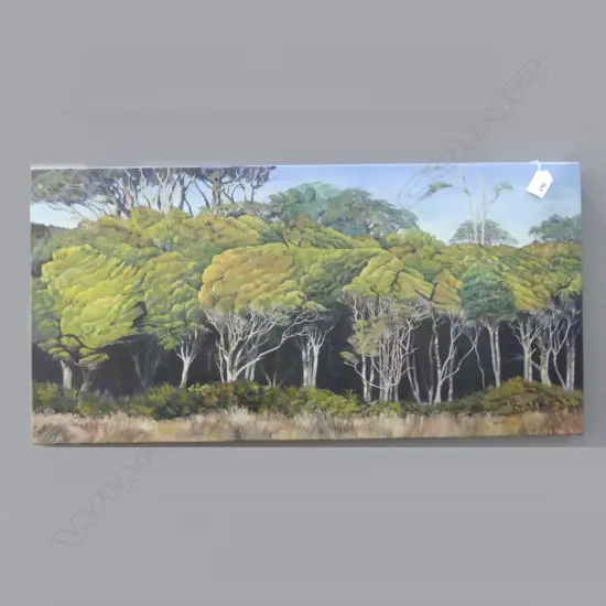 PAT LINDBOM, COASTAL TREES AT HAAST SOUTH WESTLAND, OIL ON CANVAS, 380x770mm