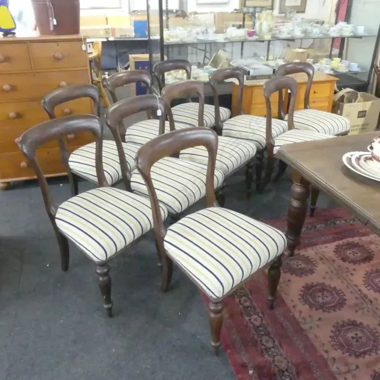 SET OF 10 MAHOGANY BALLOON BACKED DINNING CHAIRS