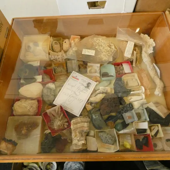 COLLECTORS DISPLAY OF ASST. MINERALS, GEODES, FOSSILS, etc 590x490x150mm