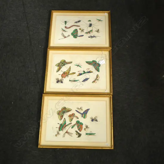 3 INSECT ARTWORKS ON PITH RICE PAPER 225x330mm