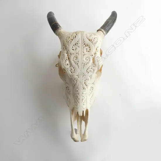 CARVED INDONESIAN BOVINE SKULL H.460mm with applied horns