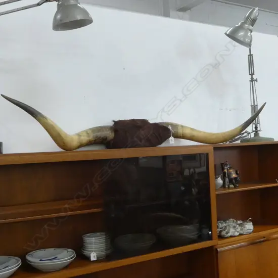 LG BULLOCK HORN MOUNT L.1260mm