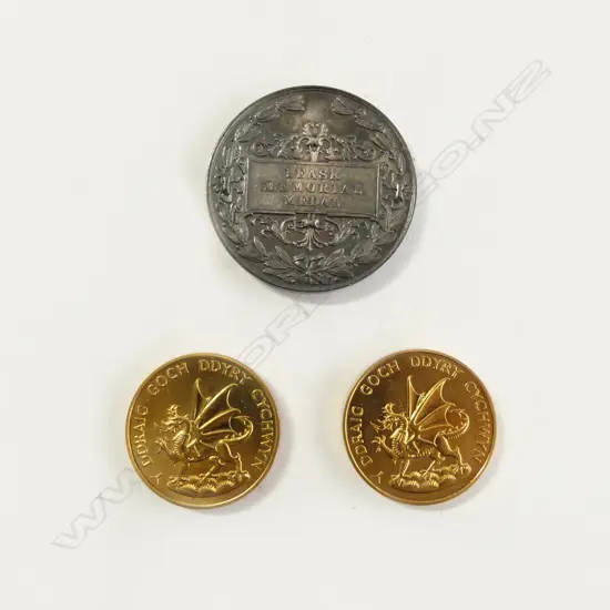 **RTV**  MEYER & KEANE SILVER OTAGO DENTAL SCHOOL MEDAL + 2 1969 Prince of Wales Investiture Medals