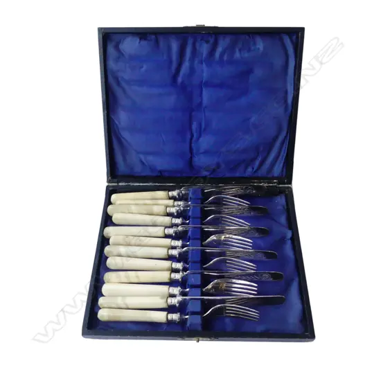 6 PLACE CASEIN HANDLED E/P FRUIT SET OF CUTLERY