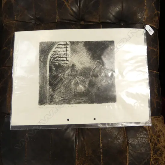 P. THOMPSON, ... BUCKLE STREET (WELLINGTON?), UNFRAMED PRINT, 300x420mm