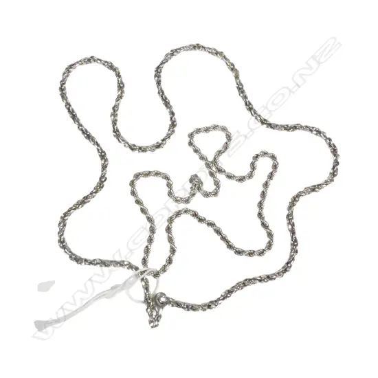 2 S/SILVER CHAINS 46G