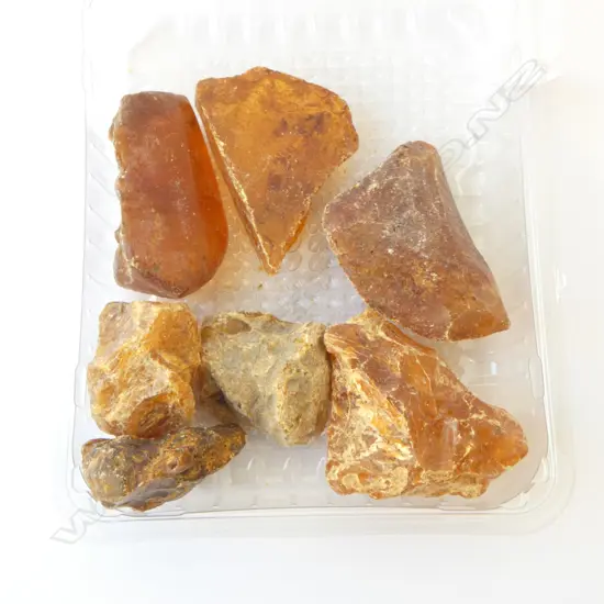 SIX PIECES KAURI GUM, L.60MM-100MM