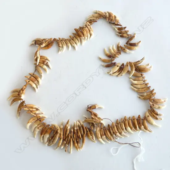 PNG DOG TOOTH NECKLACE
