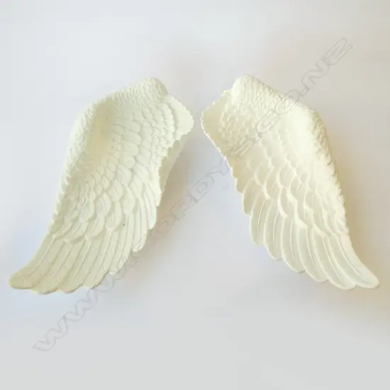 PR OF ANGEL WINGS L.460mm