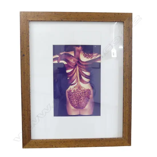 EMMA BASS, NUDE, PHOTOGRAPH, NOT SIGNED 300x200mm