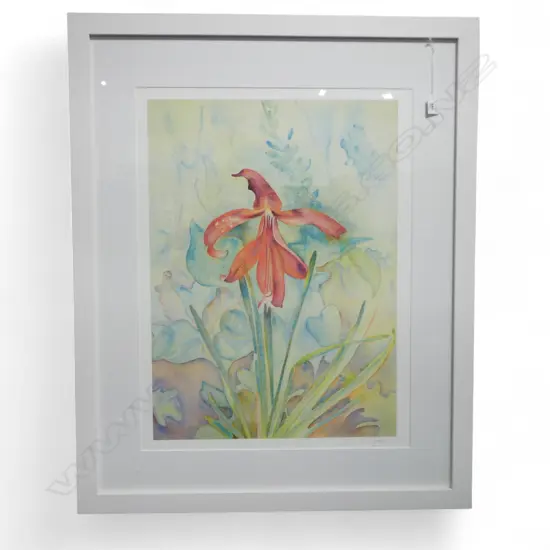 RITA ANGUS, ORCHID, PRINT 47/500 700x525mm