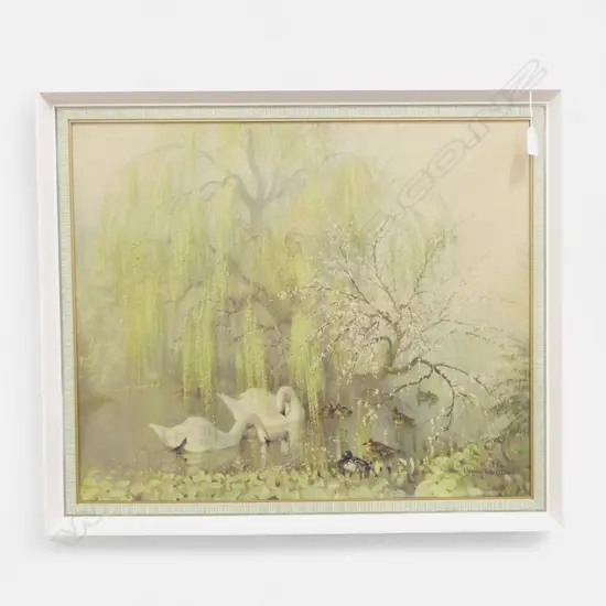 VERNON WARD SWANS PRINT 500x600mm