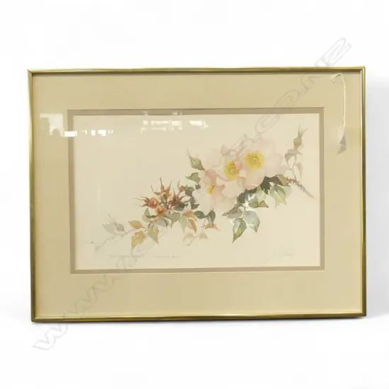 JOYCE BLAKE (PETER BLAKES MOTHER) 'FRAU DAGMAR HASTRUP SINGLE PINK ROSE', W/COLOUR, 260 x 430mm