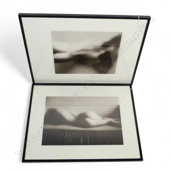 PR OF PHOTOGRAPHIC NUDES H270 W400MM (From the Estate of Tommy Doyle)