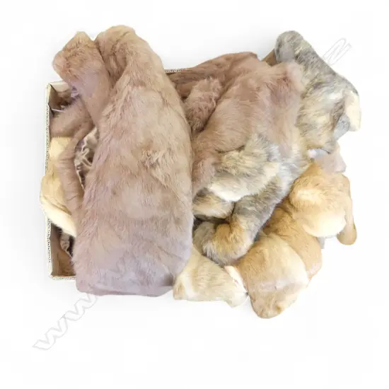 5 FUR JACKETS BY ENGLISH & FOREIGN FUR CO. LTD. WELLINGTON