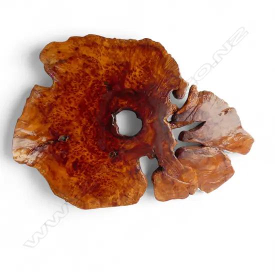 SLICE OF BURR TIMBER 400x530mm