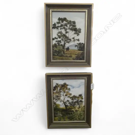 2 JUDITH MORETON OILS 'AHIMIA II COROMANDEL' & 'FROM THE ROAD TO COLVILLE' 265x190mm