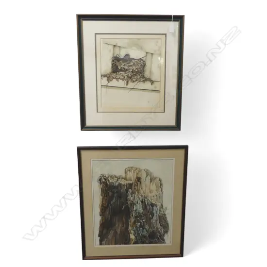 2 PAINTINGS, NESTING/NATURE SCENES, ONE SIGNED, 510x420mm