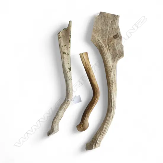 **RTV** 3 ANTLER HORNS L.480mm