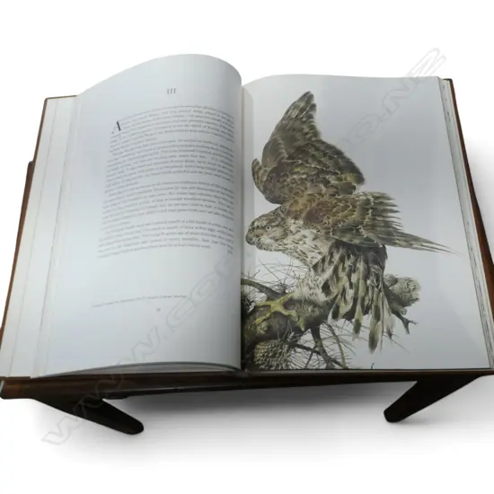 CASED BOOK; RAYMOND CHING THE BIRD PAINTINGS 485x345mm