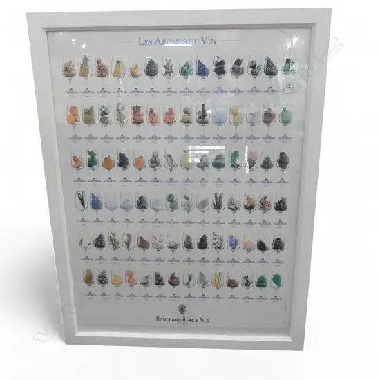 WINE FLAVOURS POSTER 790x590mm