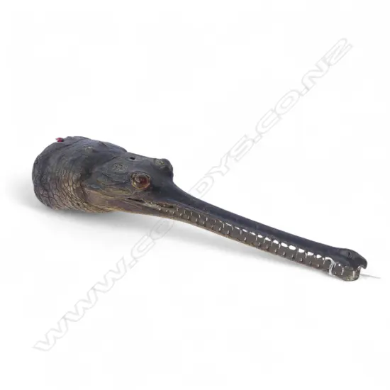 TAXIDERMY INDIAN GHARIAL FRESHWATER CROCODILE L.395mm