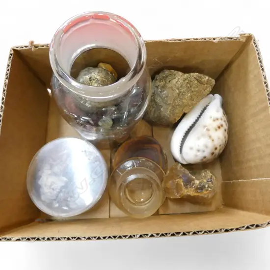ASST. MINERAL SAMPLES Incl. KAURI GUM + RAW OPALS?