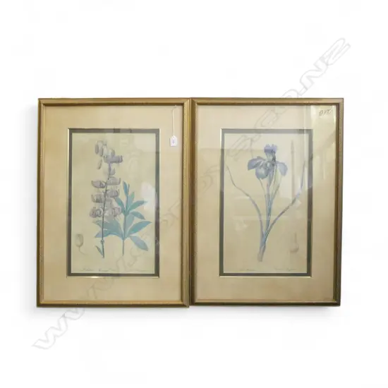 PR LG BOTANICAL PRINTS 500x300mm