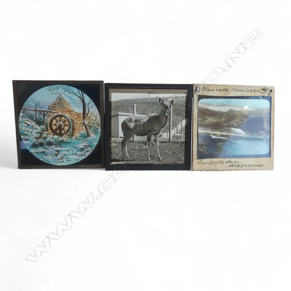 LARGE COLLECTION EARLY 20thC MAGIC LANTERN SLIDES, Image 1++