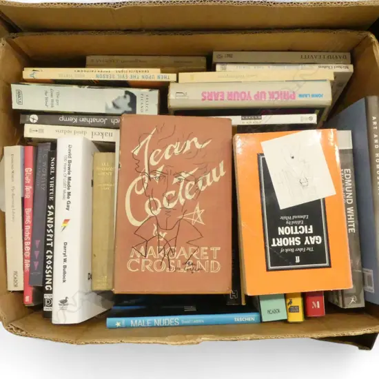 ASST. BOOKS; GAY / QUEER INTEREST