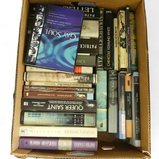 ASST. BOOKS; GAY / QUEER INTEREST