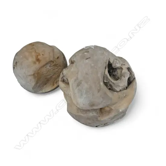 2 LGE HARDWOOD DRIFTWOOD CARVED BALL SCULPTURES. Lgest Dia.360mm