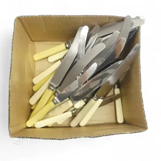 ASST. IVORINE 'BONE' KNIVES etc 