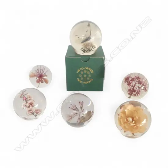 COLLECTION OF 6 HAFOD GRANGE NZ FLORA PAPER WIEGHTS TALLEST 80MM