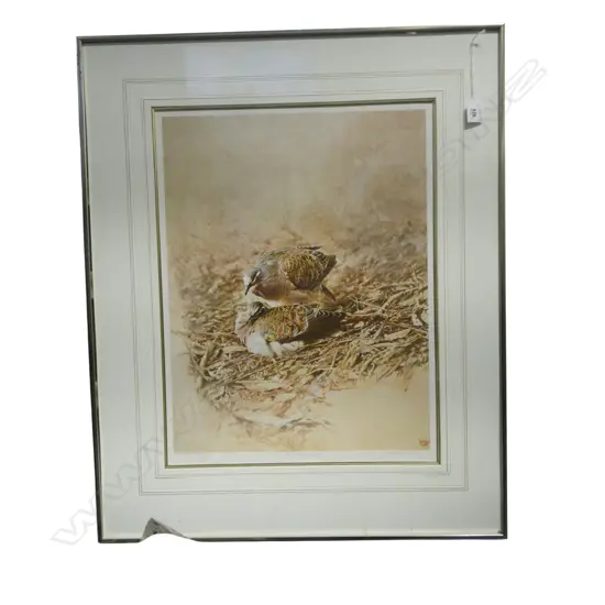 RAYMOND CHING 'BRONZED WINGED PIGEON' 71/425 SIGNED 570x440mm