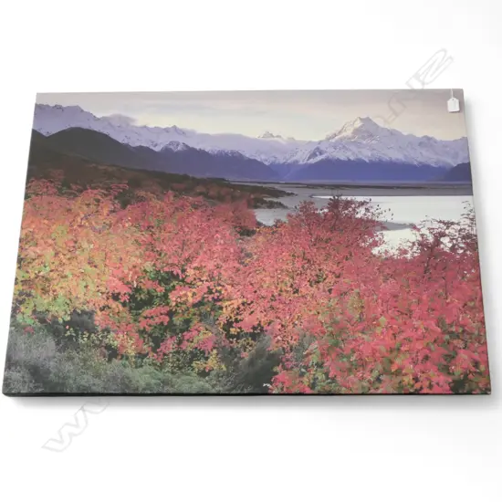 GENE GLOVER AORAKI MOUNT COOK 2007 PHOTOGRAPIC PRINT ON CANVAS 700 X 990MM