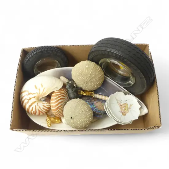 NOVELTY ASHTRAYS & SHELL COLLECTION; KINA, NAUTILUS, PAUA ETC