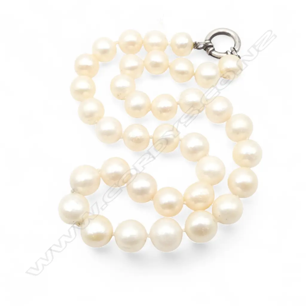 LARGE SOUTH SEA STYLE FRESH WATER PEARL NECKLACE Image 1++