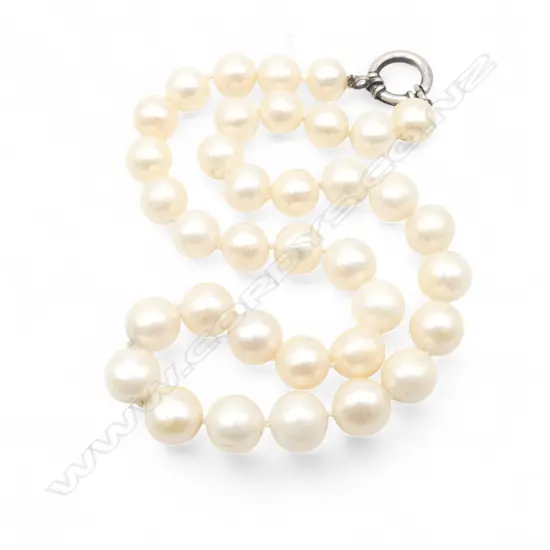 LARGE SOUTH SEA STYLE FRESH WATER PEARL NECKLACE