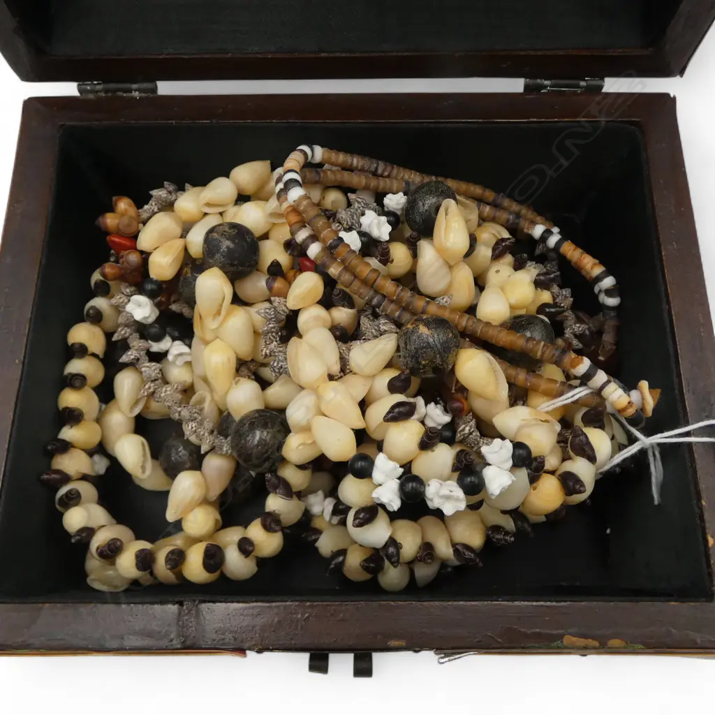 5 COSTUME SHELL NECKLACES + JEWELLERY BOX Image 1++