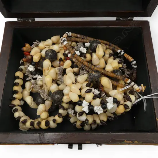 5 COSTUME SHELL NECKLACES + JEWELLERY BOX