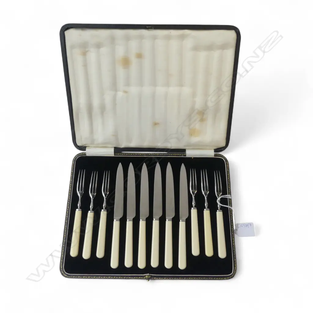 12 PCE FRUIT CUTLERY SET, CASED Image 1++