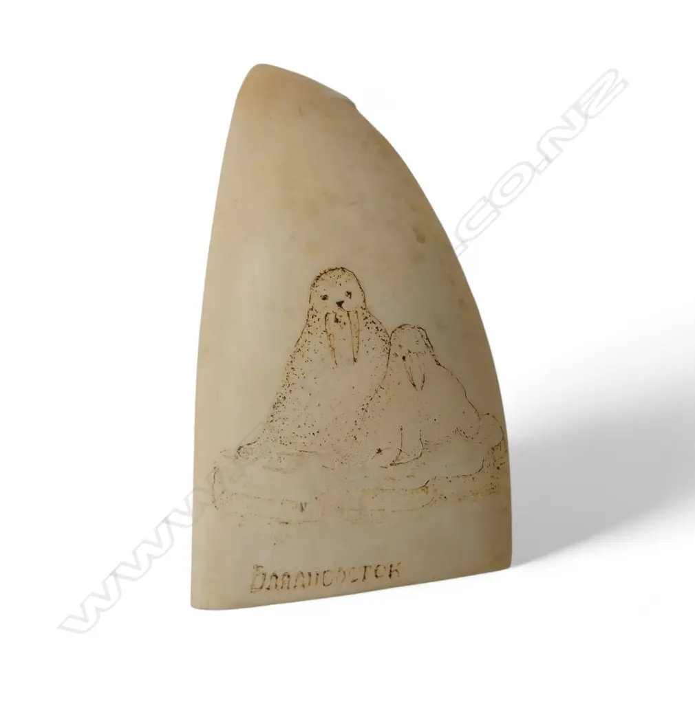 SPERM WHALE TOOTH scrimshaw engraved with 2 walrus. Matt polished. Flat base allowing standing. H.120mm Image 1++