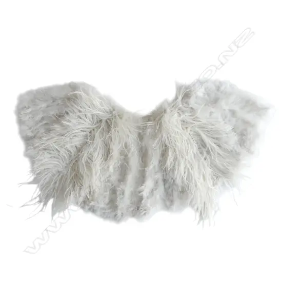 FRENCH 1920'S FEATHER CAPE