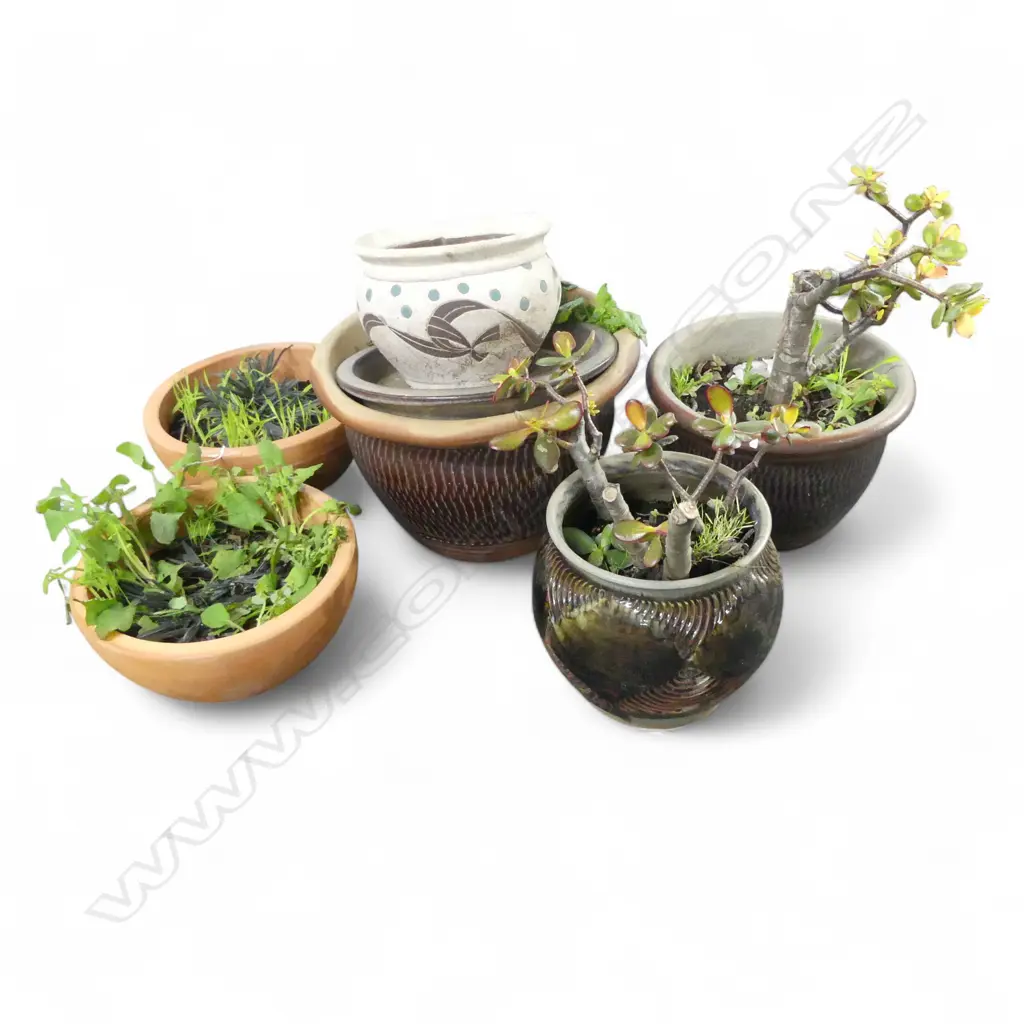 8 ASST. GARDEN POTS Image 1++