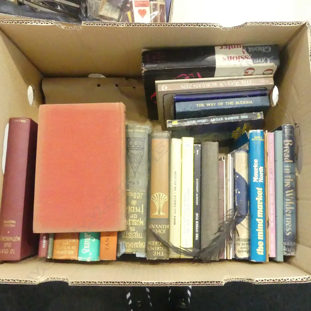 ASST. PARANORMAL/MYSTIC PHILOSOPHY BOOKS etc Image 1++